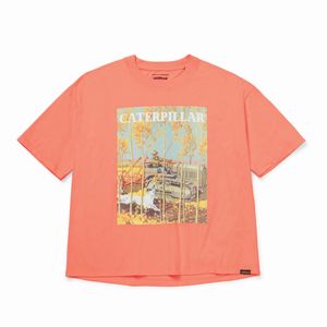 Remera Cat Mujer Boxy Heavyweight Graphic Naranja